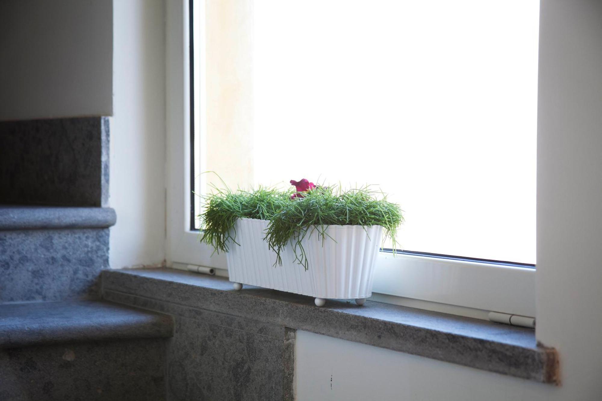 Albergo Da Benedetta เวตรัลลา ภายนอก รูปภาพ